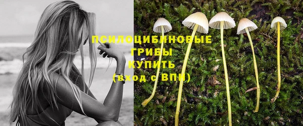 ГАЛЛЮЦИНОГЕННЫЕ ГРИБЫ Заводоуковск