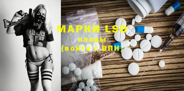 гашик Зеленокумск